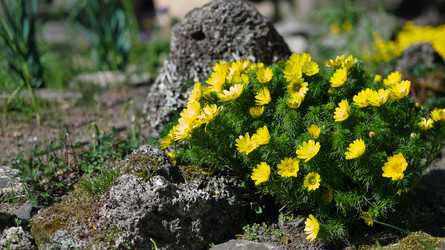 Similar image 22098988