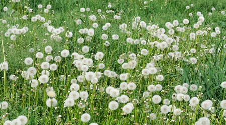 Similar image 22098989