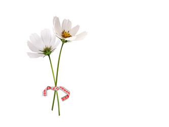 Similar image 22098992