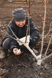 Similar image 22108982