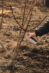 Similar image 22108984