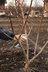 Similar image 22108985