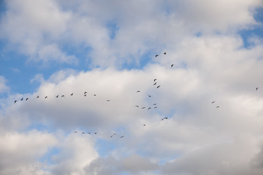 Similar image 22100869