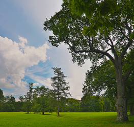 Similar image 22099016