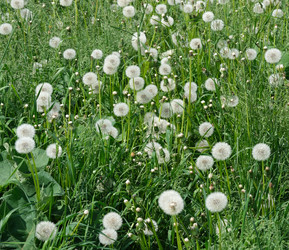 Similar image 22099032