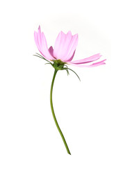 Similar image 22099033