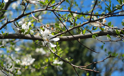 Similar image 22099038