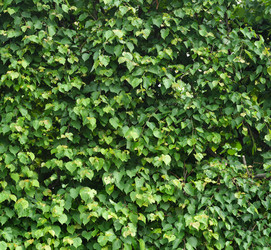 Similar image 22099039