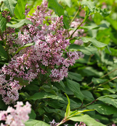 Similar image 22099040