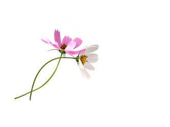 Similar image 22099056