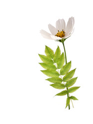 Similar image 22099058