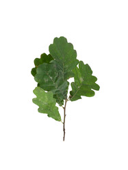 Similar image 22099061