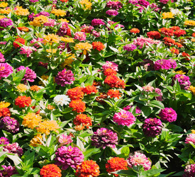 Similar image 22099082