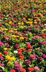 Similar image 22099083