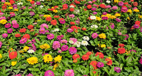 Similar image 22099086