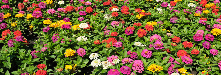 Similar image 22099320