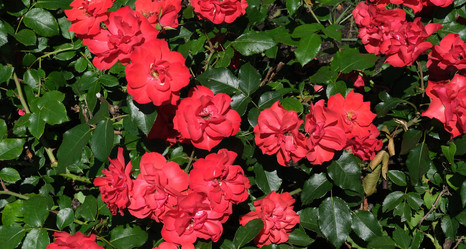 Similar image 22099322