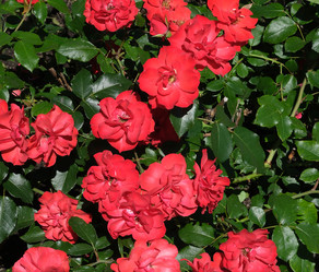 Similar image 22099323