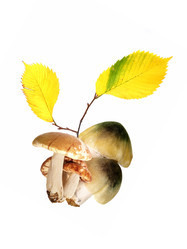 Similar image 22099350