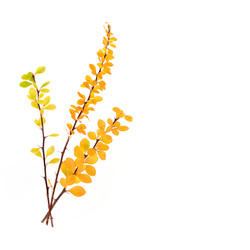 Similar image 22099351