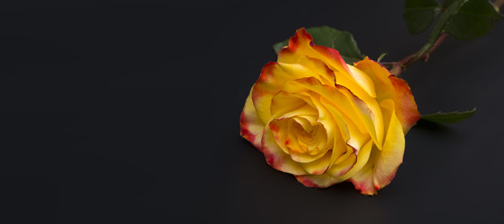 Similar image 22099353