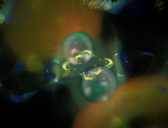 Similar image 22100470