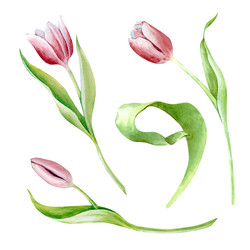 Similar image 22099396