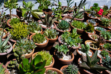 Similar image 22118136