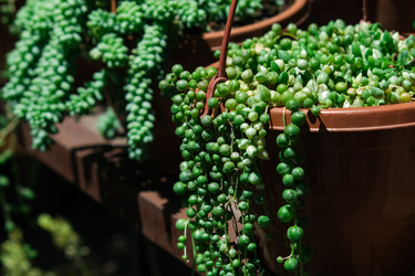 Similar image 22118138