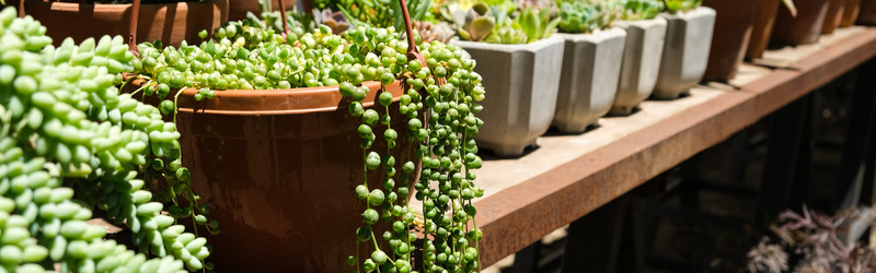 Similar image 22118140