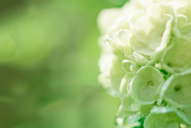 Similar image 22118142