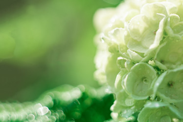 Similar image 22118144