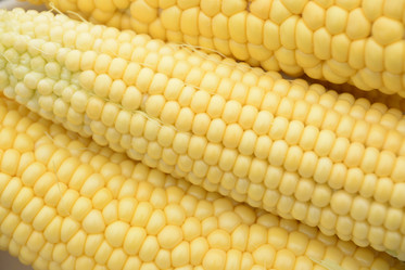 Similar image 22118145