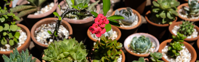 Similar image 22118146