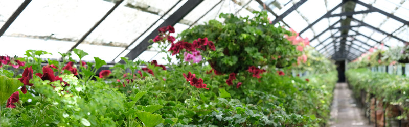 Similar image 22118148