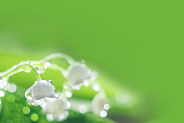 Similar image 22118149