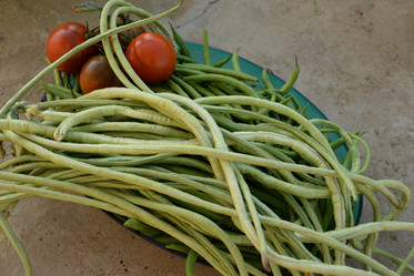 Similar image 22118150