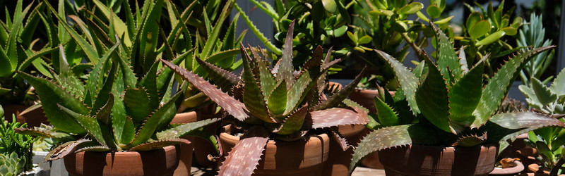 Similar image 22118152