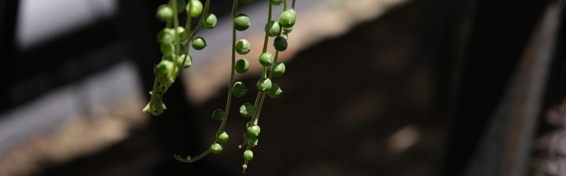 Similar image 22118154