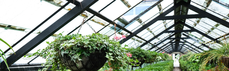 Similar image 22118158