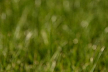 Similar image 22118161