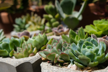 Similar image 22118165