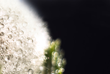 Similar image 22118168