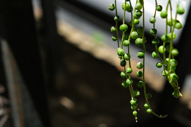 Similar image 22118169