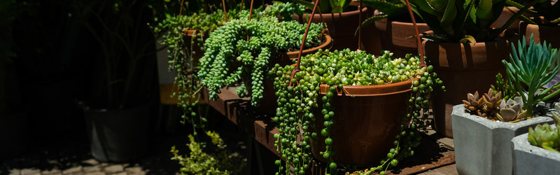 Similar image 22118170