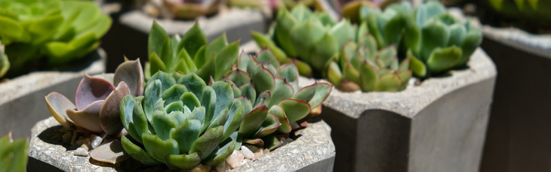 Similar image 22118171