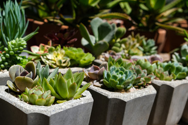 Similar image 22118174