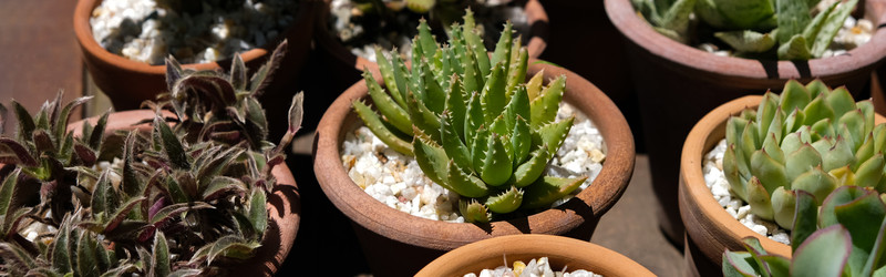 Similar image 22118175