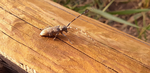 Similar image 22112844