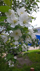 Similar image 22112847